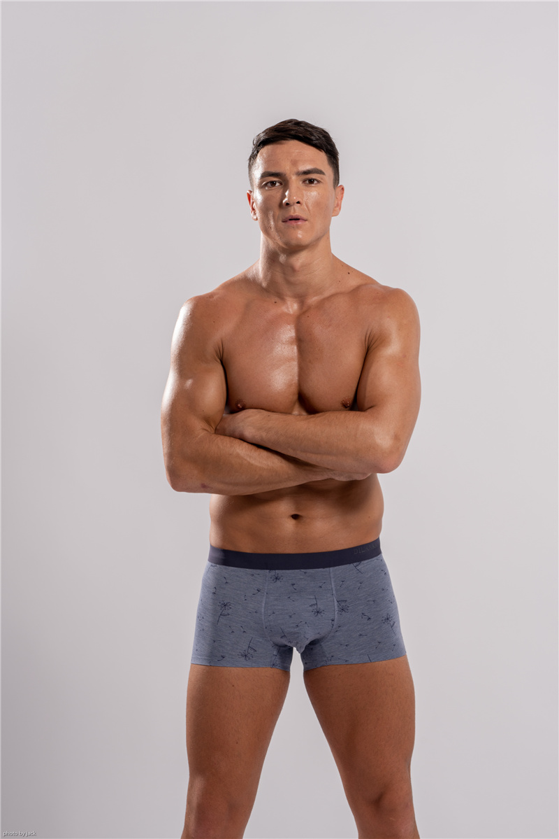 Underpants men&#039;s underwear designer boxers pure cotton fashion breathable young men boxer-image-632919869