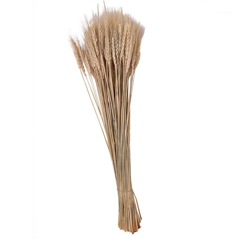

100Pcs/Lot Real Wheat Ear Flower Natural Dried Flowers Wheat Ears Bouquet Wedding Party Decoration DIY Craft Home Decor Photogra1, Beige