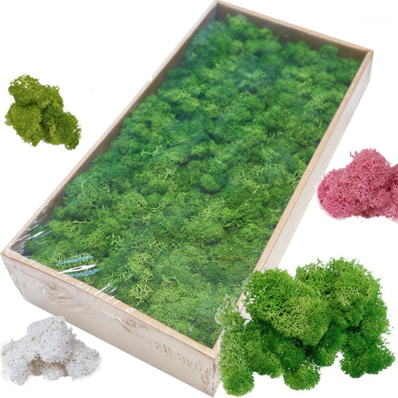 

Artificial Green Plant Immortal Fake Flower Moss Grass High quality Living Room Decorative Wall DIY Flower Mini Accessories1