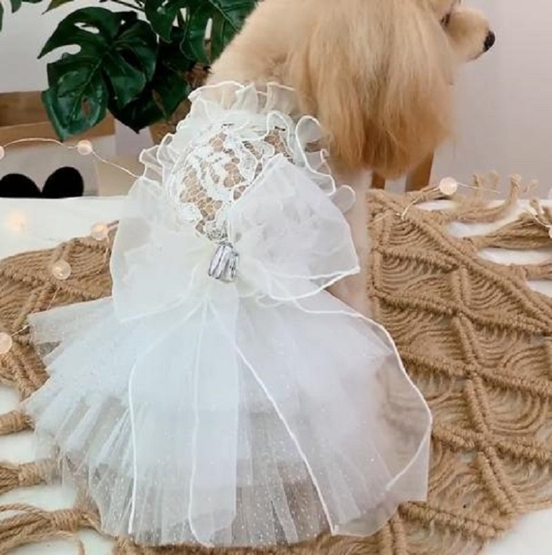 designer dress online shopping