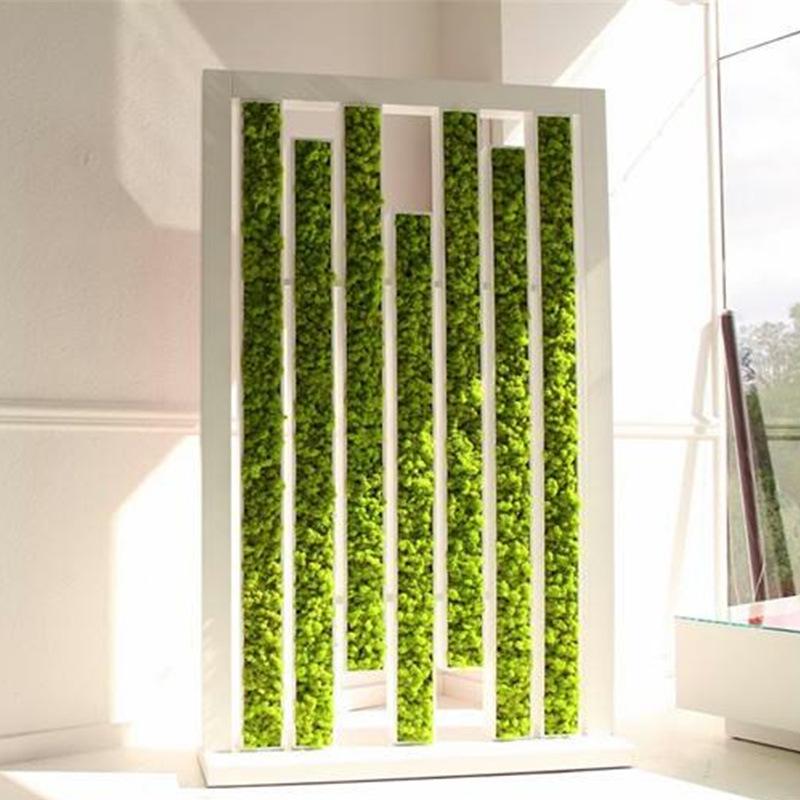 

High quality artificial green plant immortal fake flower Moss grass home living room decorative wall DIY flower mini accessories