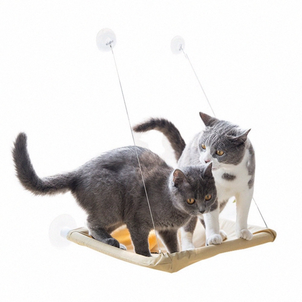 Pas Cher Hamacs Pour Chats Achetez Des Produits En Gros Du Canada En Ligne Depuis La Chine Dhgate Com France Pas Cher Hamacs Pour Chats Achetez Des Produits En Gros Du Canada En Ligne Depuis La Chine Dhgate Com France
