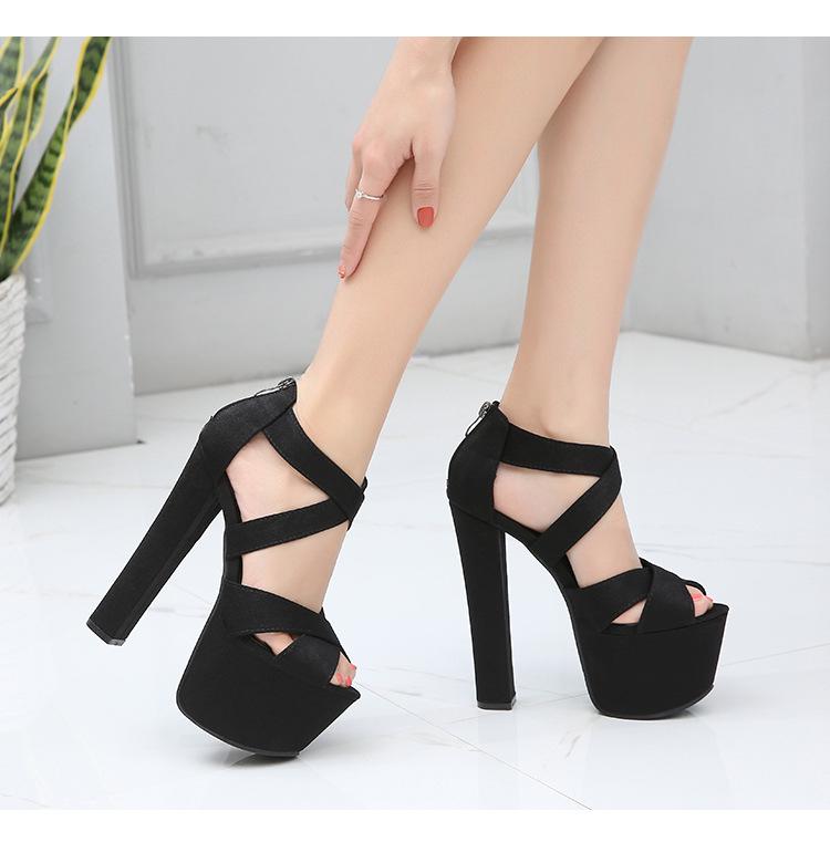 

Women's shoes 17 cm super high heel Block heel sandals Hate sky high Black heels with back zipper