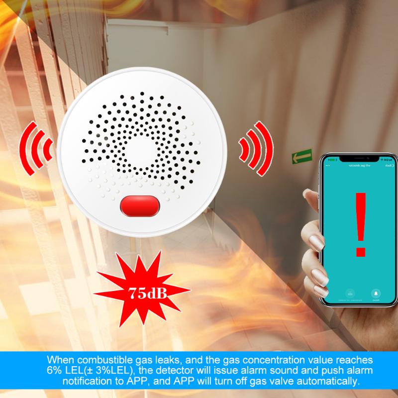 

WIFI Gas Detector Household Combustible Gas Leak Detector Natural Liquefied Petroleum Leak Tester Sniffer with Sound Alarm