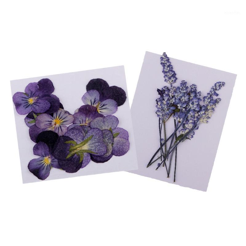 

22X Pressed Real Flower Dried Violet &Flowers For Phone Case Decor DIY1, As pic