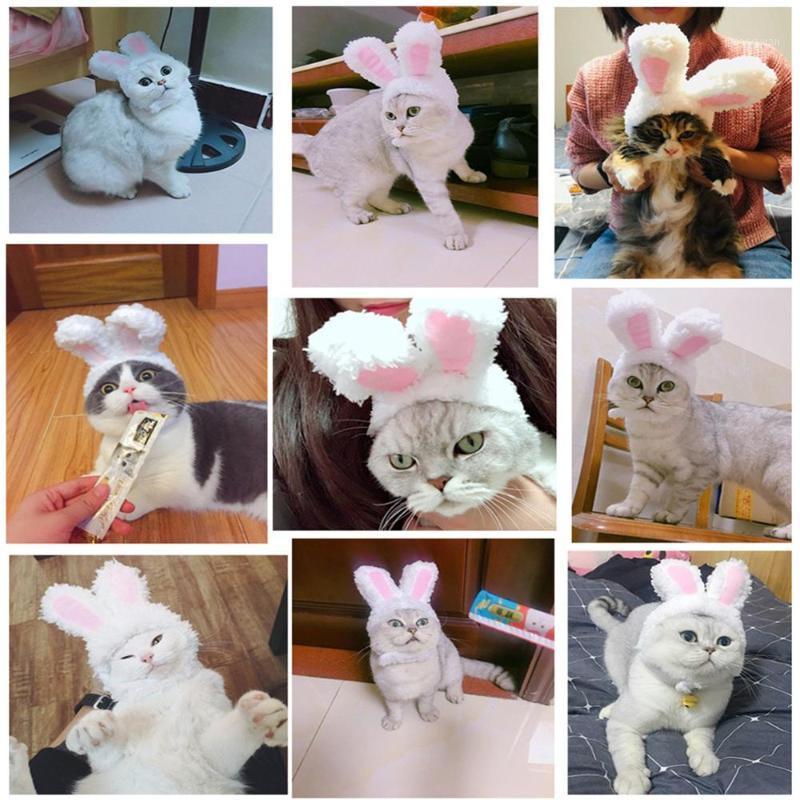 

Funny Cute Pet Costume Cosplay Hat Cap For Cat Halloween Xmas New Year Clothes Fancy Dress Small Dogs Accessories1, Cat cap