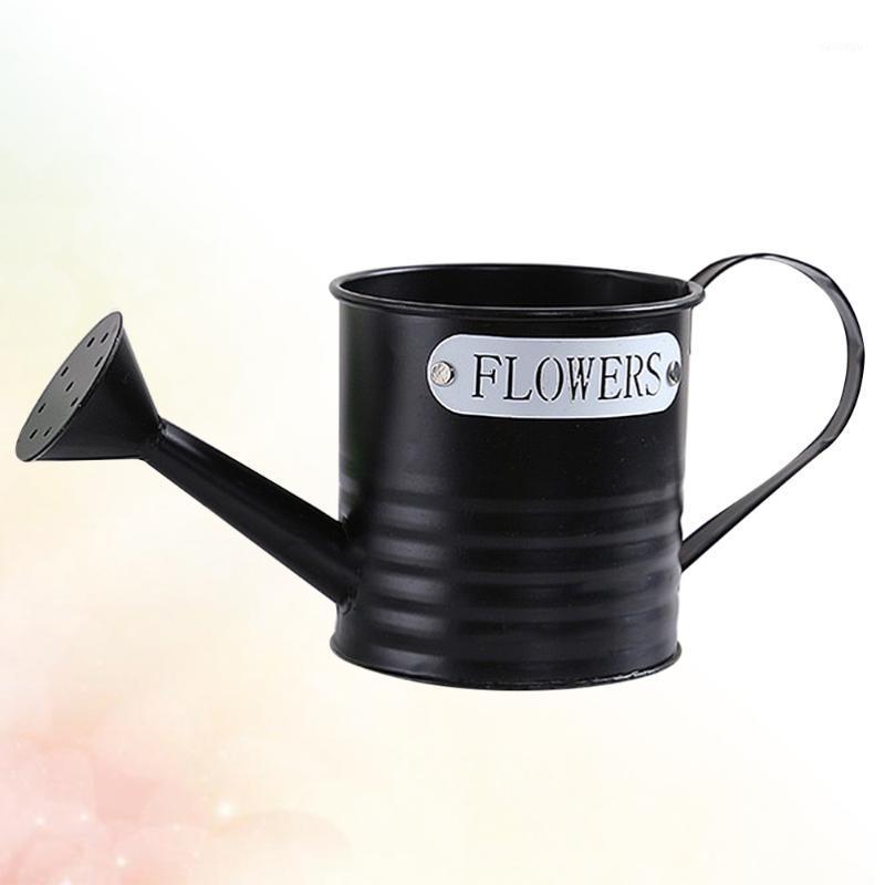 

Simple Iron Watering Pot Gardening Tin Decorative Flower Bucket Iron Sprinkling Kettle Portable Flower Can for Home Garden Plant1, Assorted color