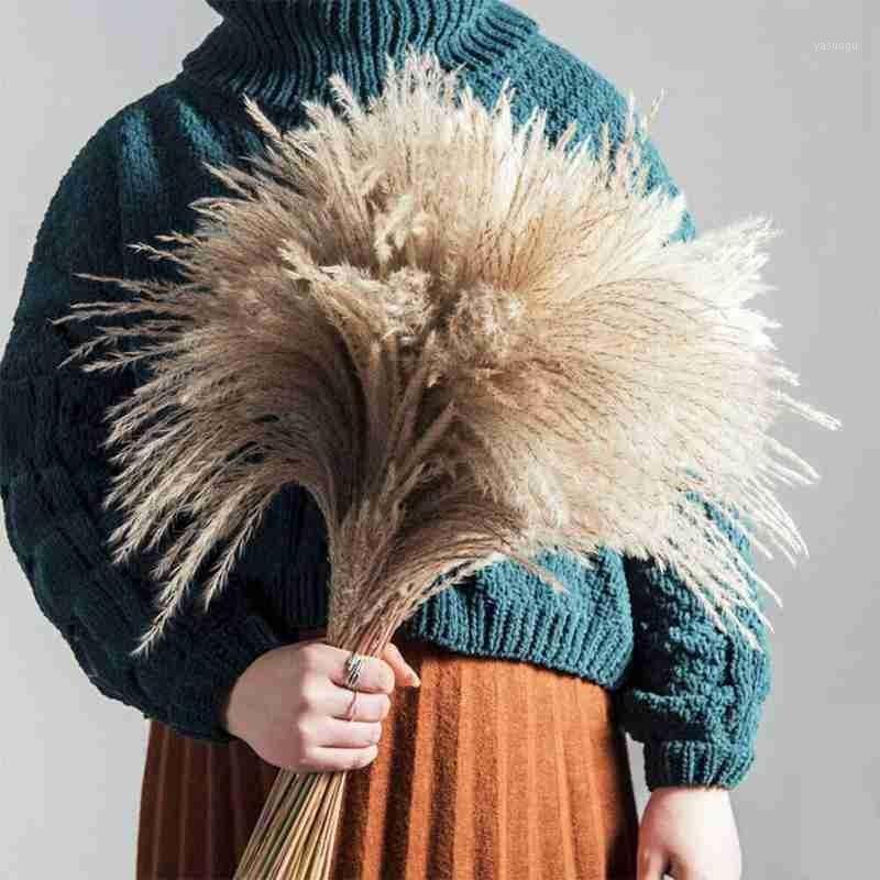 

50pcs 55cm Dried Pampas Grass Bunch Natural Phragmites Reed Flowers Home Wedding Decor Primary Color Short Bulrush Reeds Flower1