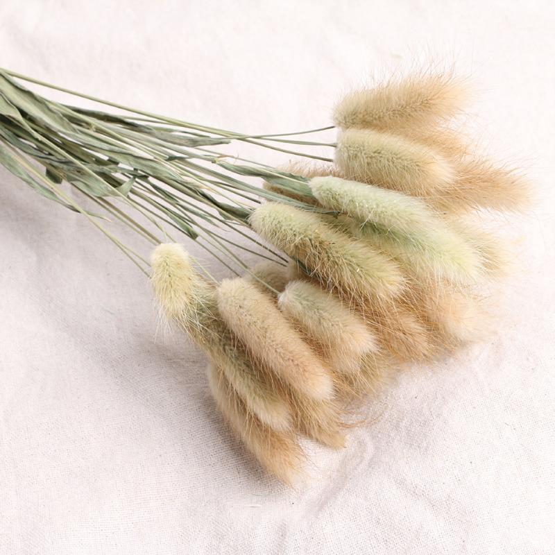 

30pcs Photo Props Tail Grass Dried Flower Florist Natural Gift Home Decor Party Ornament Wedding Artificial Bouquet1, Green