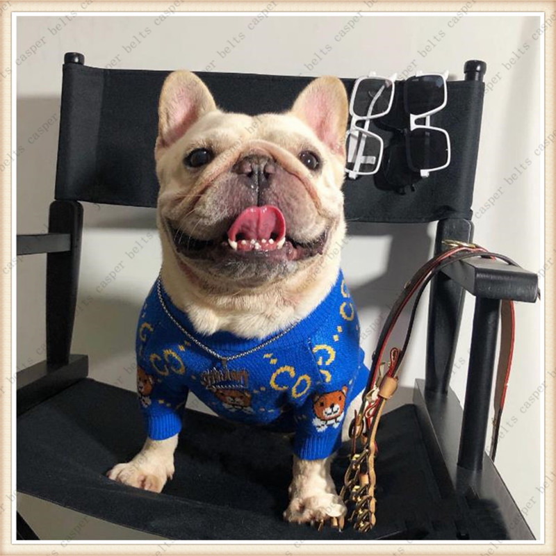 

Designers Pet Clothes Summer Puppy T Shirts Poodle Dog Apparel Autumn Winter Warm Knitting Luxurys Pet Clothing Brand Pets Sweater G Letter, As pice