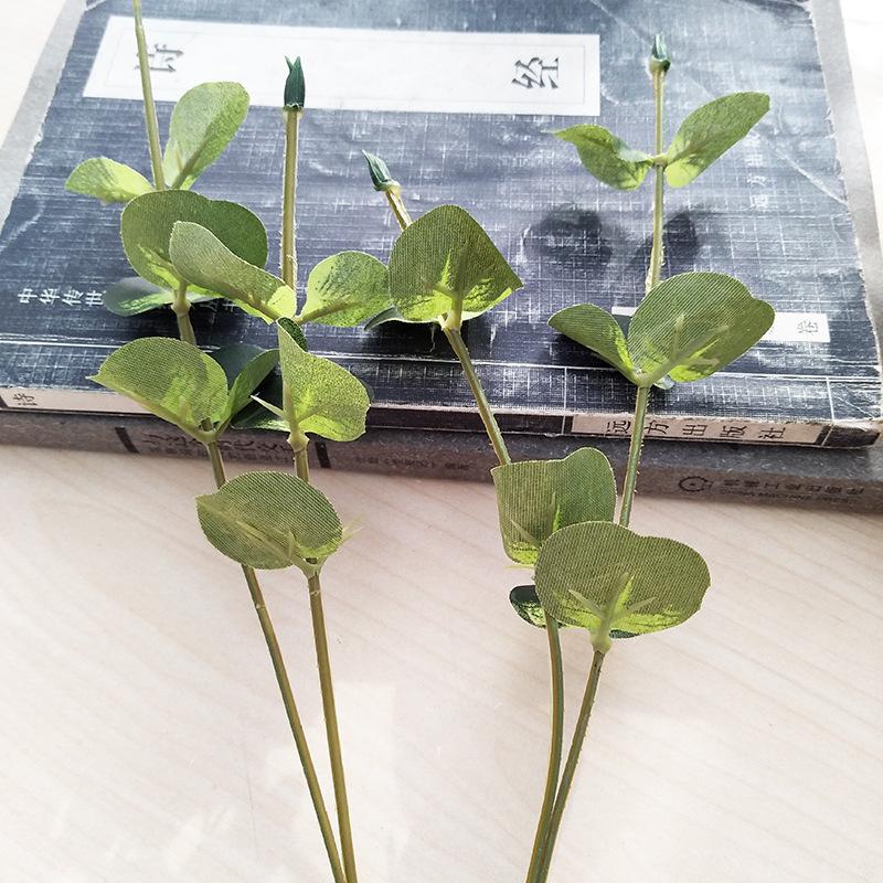 

Top Grade Eucalyptus Leaves Money Leaf Flower Arrangement Leaf Ferns Model Artificial Flower Model Plant Wedding Photograph
