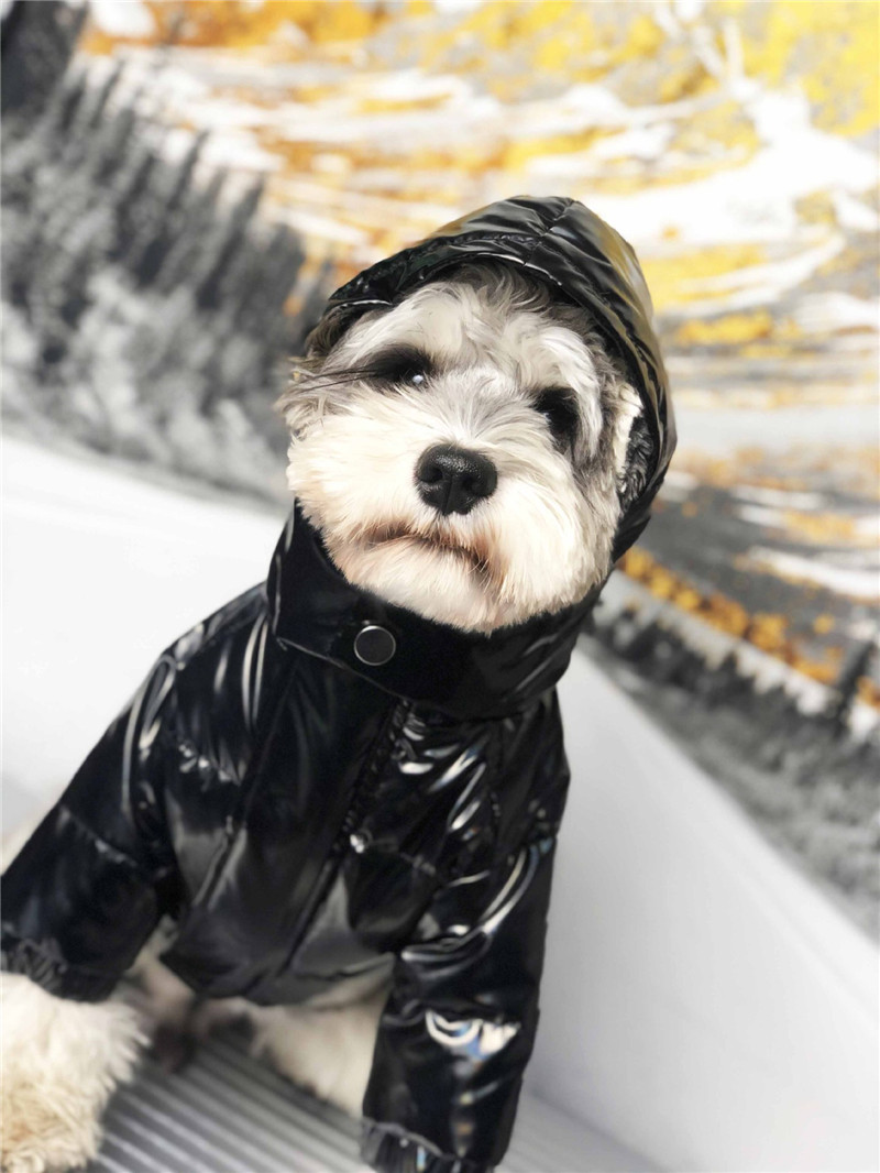 

Small Dog Pet Coat Retro Dachshund Pet Cotton Padded Jacket Keep Warm Cat Coat Anorak Windcheater, See details