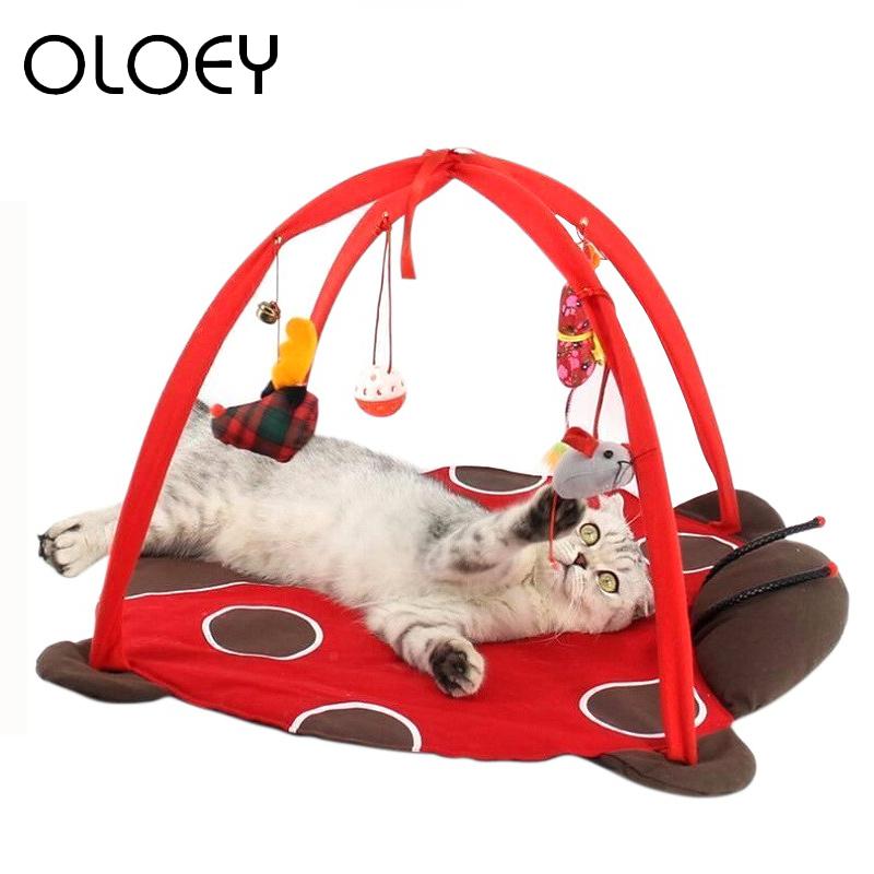 kitten play tent