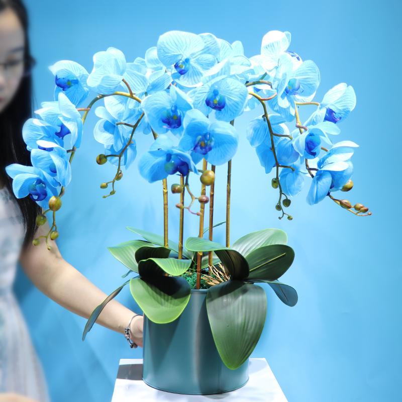 

INDIGO - (5 Orchid+3 Leaf + Pot) Blue Orchids DIY Flower Arrangment Real Touch Office Event Centerpiece Flower Dropshipping, 1 set diy with pot