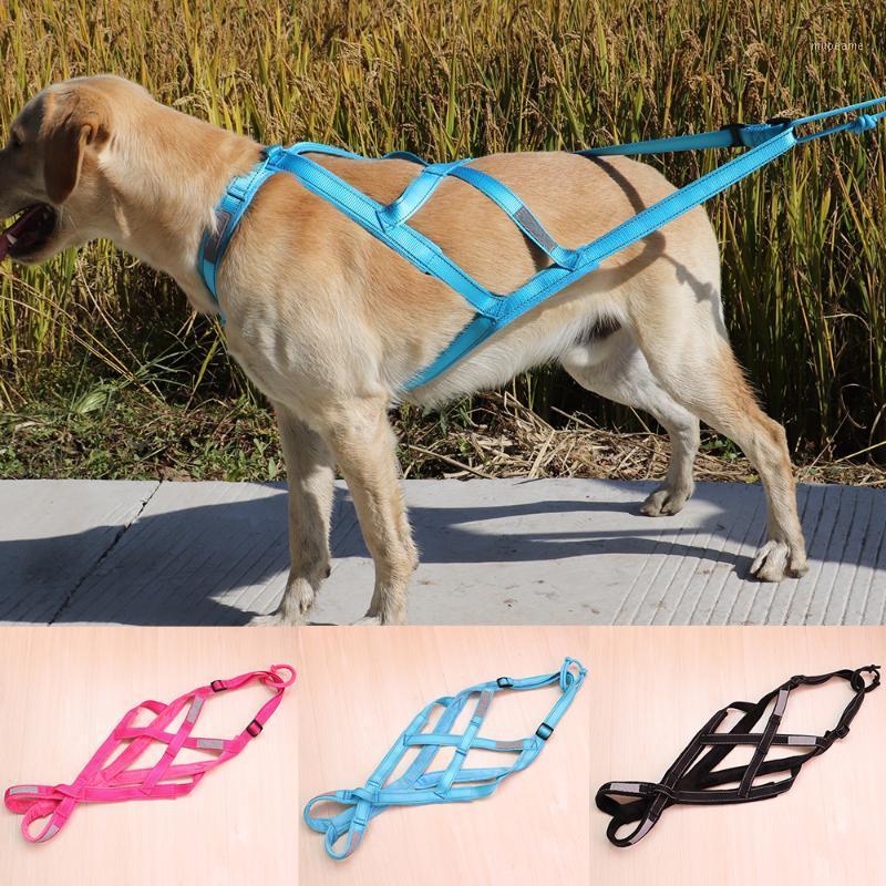 

Dog Sled Weight Pulling Harness Pet Mushing Harnesses for Large Work Dogs Training Dog Exercise Bikejoring Skijoring Scootering1
