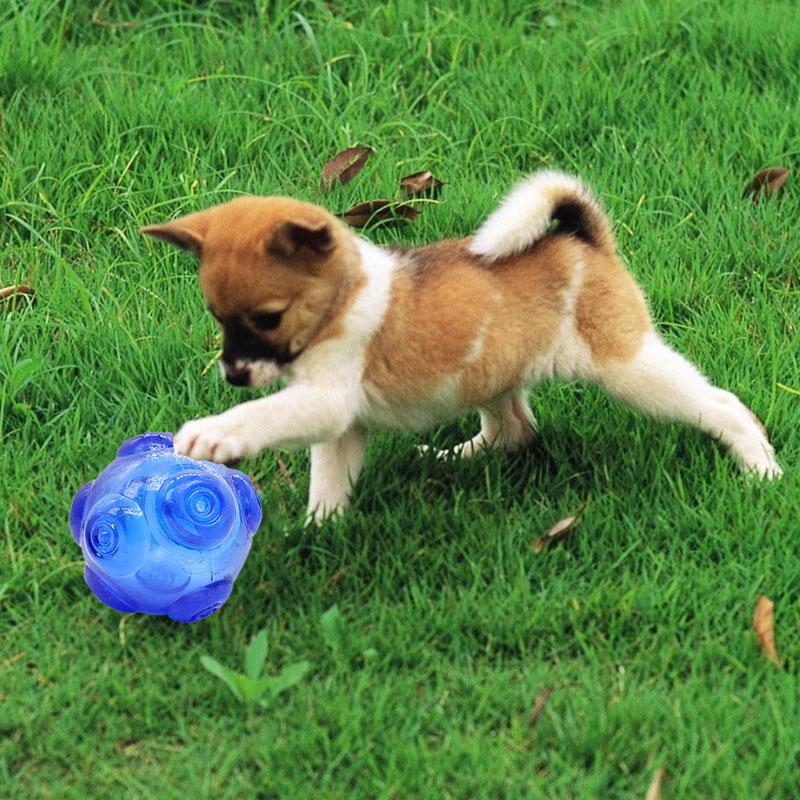

Rubber Squeak Dog Toys for Small Large Dogs Balls Funny Interactive Pet Toys Durable Dog Chew Training Balls 10B40