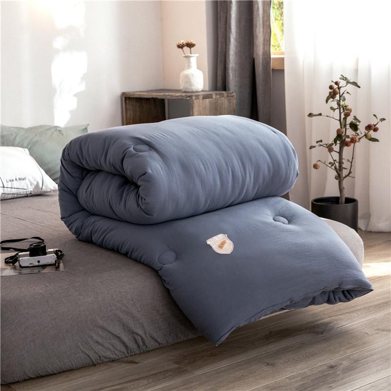 

Skin-friendly Soft Autumn Winter Comforter Queen  Size Thick Warm Quilt Core Breathable Duvet Quilt, Model 5