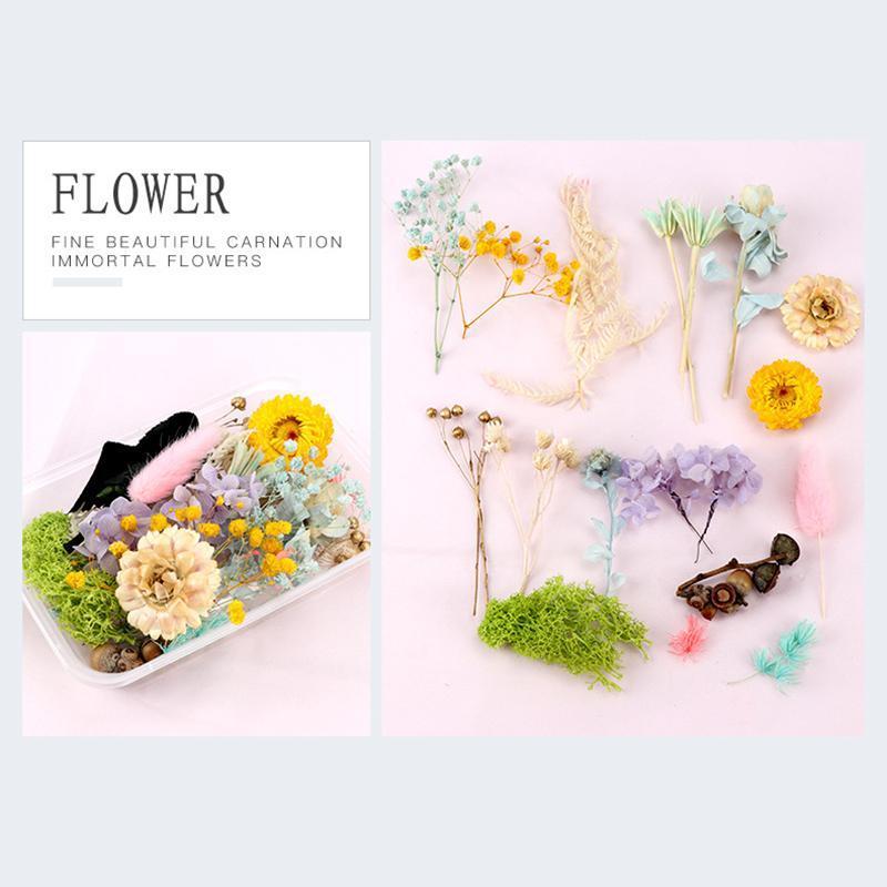

Pressed Flower Mixed Dried Flowers DIY Art Floral Decors Collection Gift Craft DIY Home ENA881, Multi