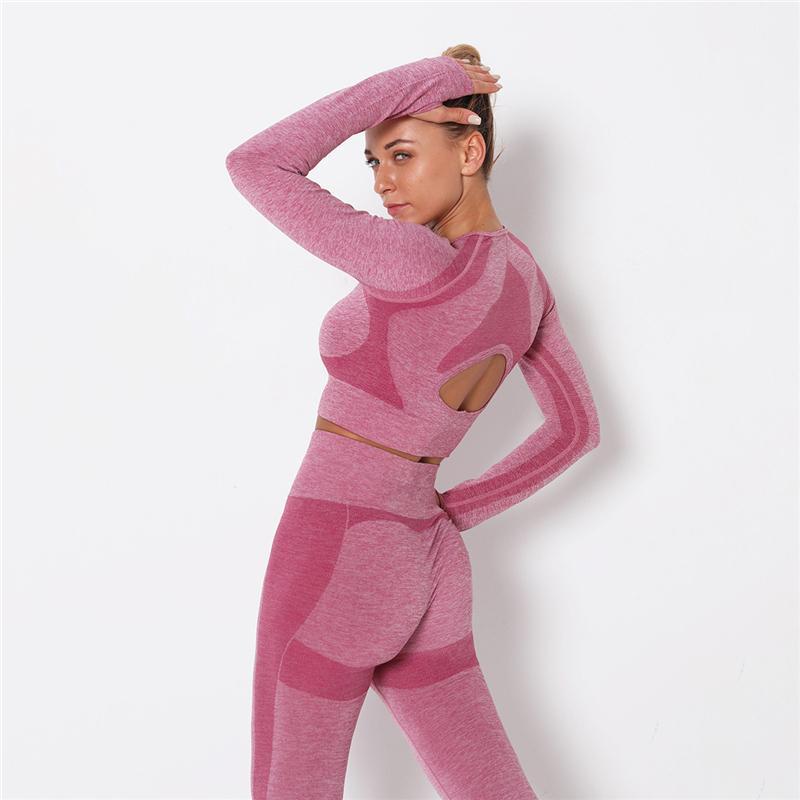 

2020 Seamless Yoga Set Women Pink 2pcs Two Piece Sport Outfits Long Crop Top High wasit Leggings Workout Gym Suit Fitness Sets1, Gray leggings