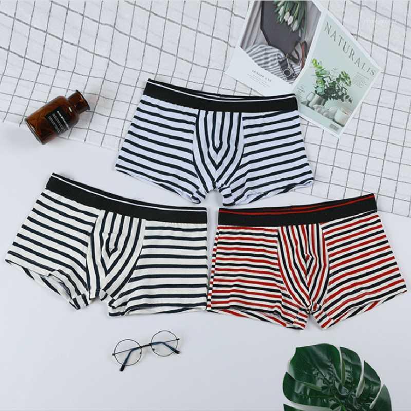 

Striped business men's underwear cotton boxer briefs, fashionable striped low waist sexy young men's underwear1, Ivory
