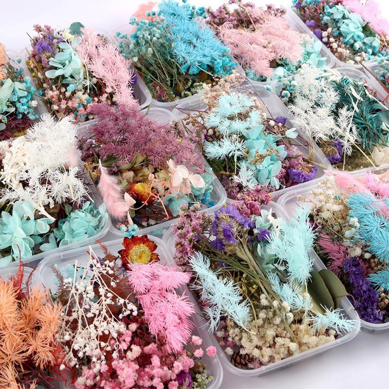 

1Box Random Color Dried Flower Plant Jewelry Making Craft DIY Accessories Ornament Pendant Supplies Party Decorate Nice Gift1