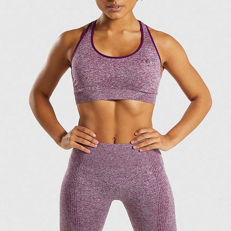 

Women Gym Yoga Set Fitness Bra Purple Sports Suits High Waist Legging Runing Clothing Strappy Outdoor Sportswear Bras Femme X6B, Light gray bra