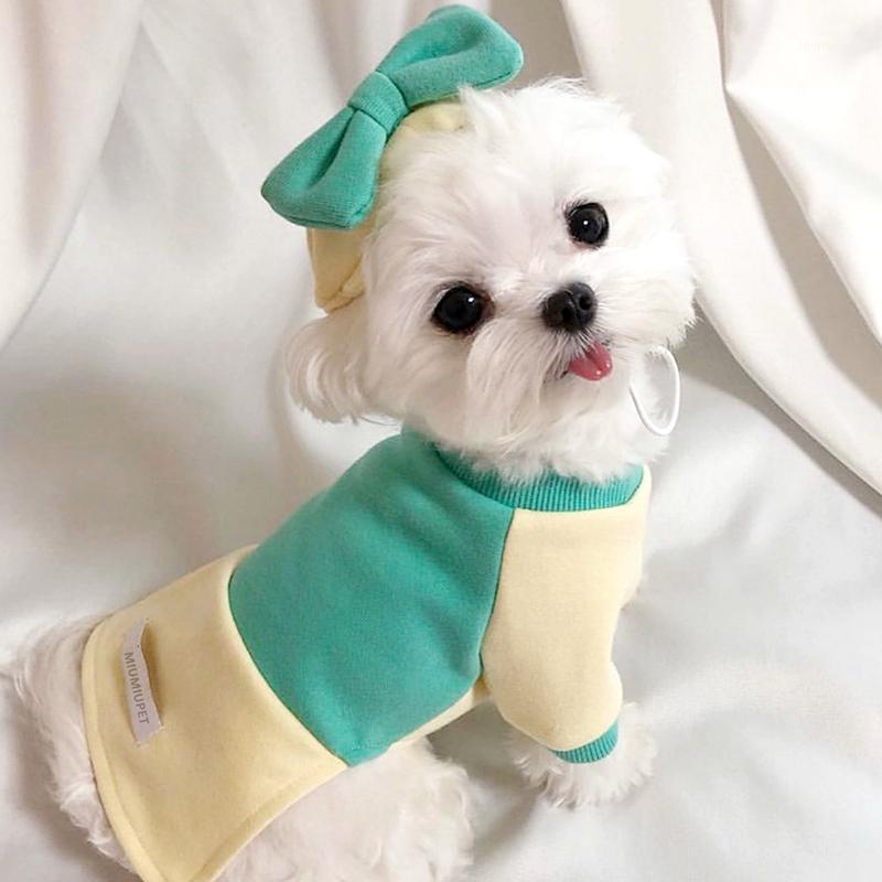 

New autumn and winter hat pet Teddy Bichon Pomeranian Schnauzer VIP cat small dog dog clothes1, Green