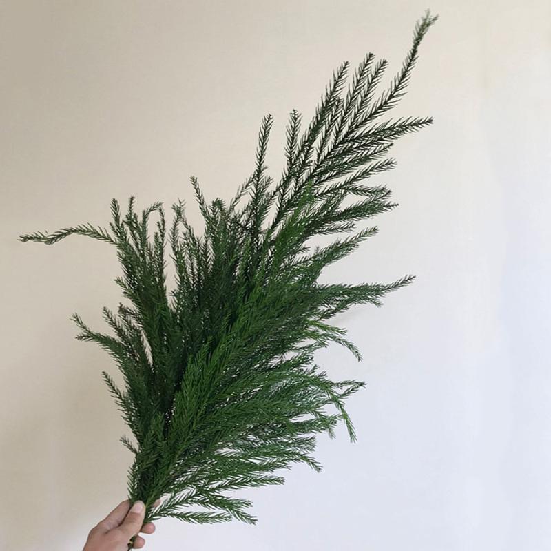 

1PC Immortal Dry Plant Leaf Material Natural Green Pine Leaves For DIY Party Christmas Pine Tree Decoration Materials