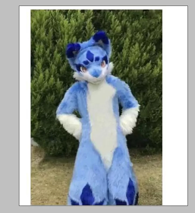 

Factory direct sale Husky Wolf Dog Fox Mascot Long Fur Costume Fursuit Halloween Suit Adult Size Furry Costume, As pic