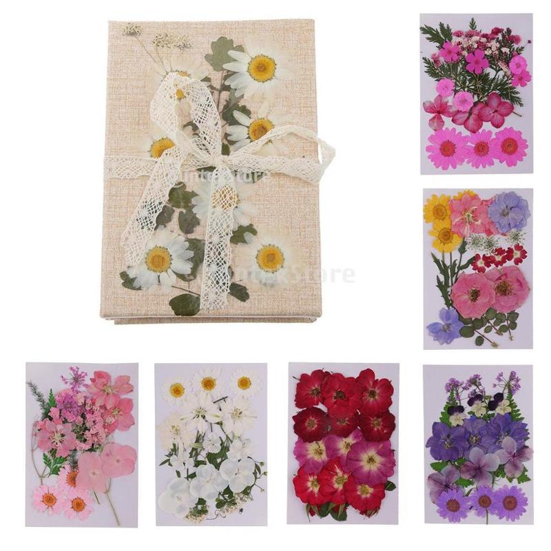 

Lots Mixed Real Pressed Flower Dried Flowers Scrapbooking Phone Cover Crafts Natural Pressed Dried Flowers DIY Art Crafts, Purple