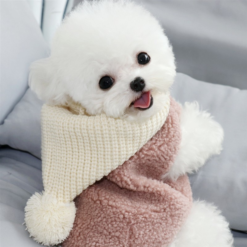 cute dogs online shopping