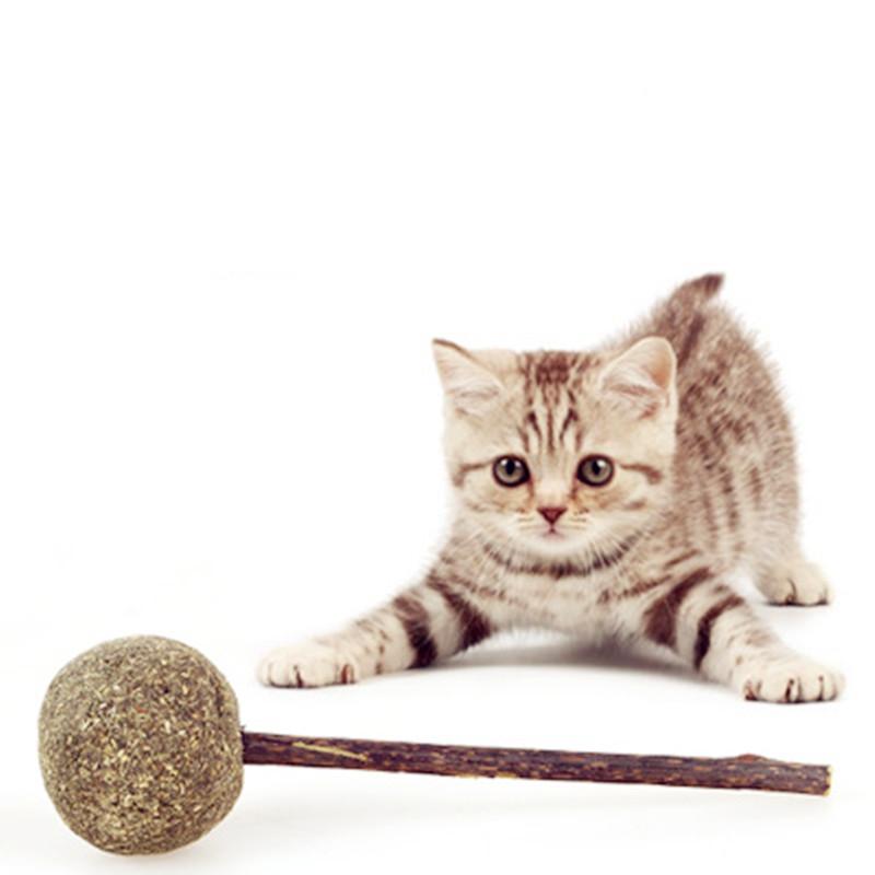 

Natural Cat Catnip Toys Flavor Kitten Treat Ball Cats Playing Cleaning Teeth Toy cat love it pet supplies