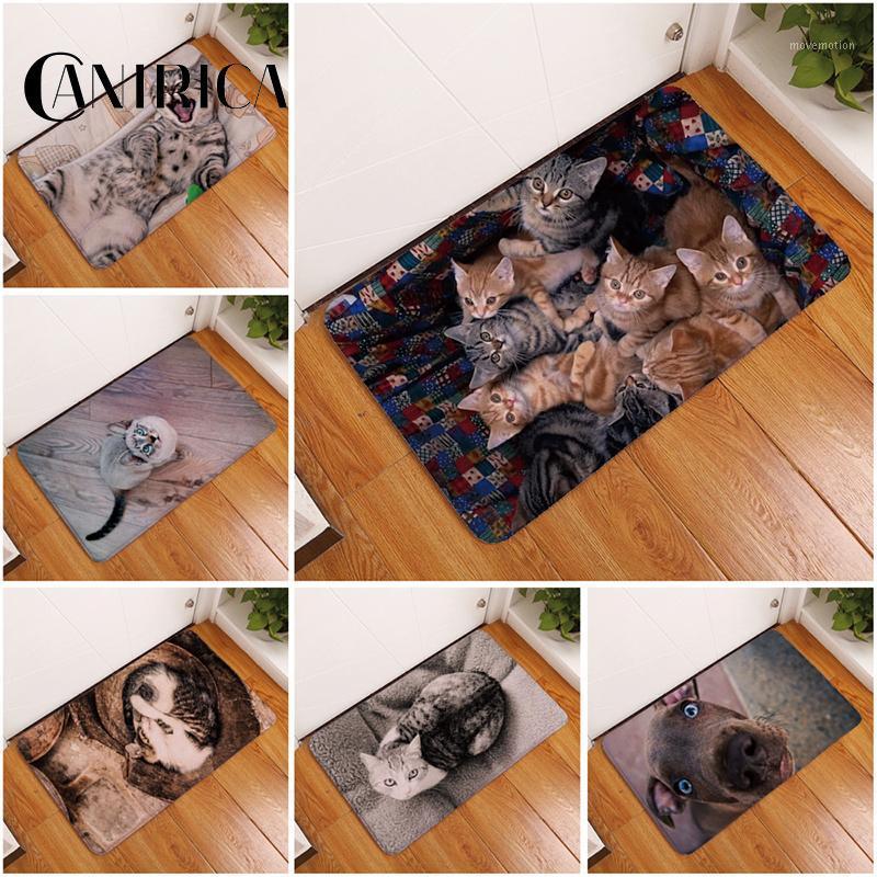 

CANIRICA Doormat Cat Mat Flannel Entrance Non-Slip Tatami Door Mat Felpudo Tatami Bathroom Kitchen Rug Home Decoration 40x60cm1
