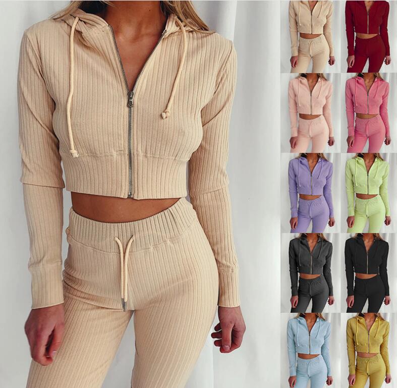 plus size designer sweat suits