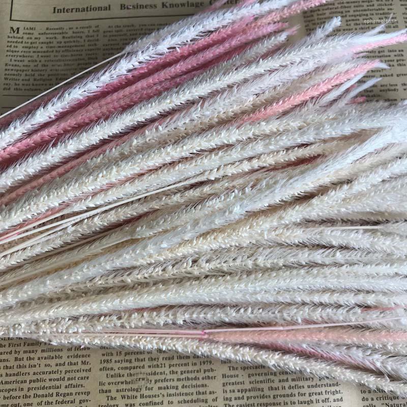 

35-40CM/The Ear of 10-25CM Dried Natural Flowers Eternelle Hypericum Japonicum Branch,Dry Plants Goldenrod Grass For Home Decor1, 08