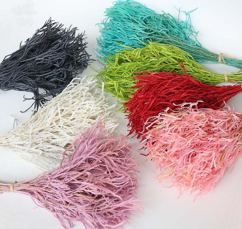 

10pcs/Bundle Preserved Dried Poa sphondylodes Trin. Flowers For Wedding Party Home Office Venue Decoration DIY Bouquet Material1, Beige