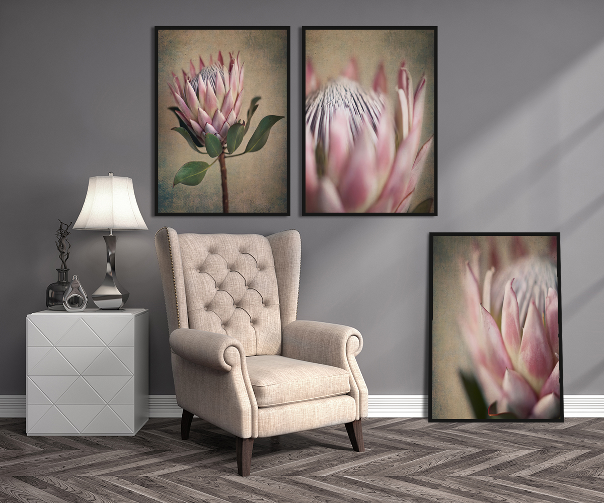 Wholesale Canvas Lotus Wall Art For Single S Day Sales Buy Cheap In Bulk From China Suppliers With Coupon Dhgate Com