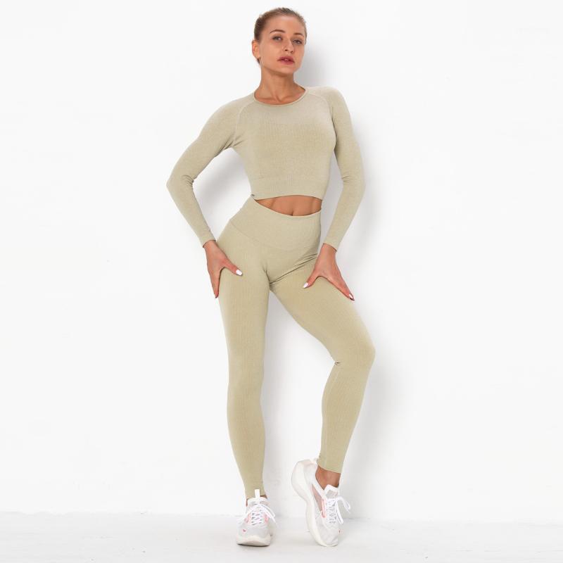 

2 Pcs Gym Workout Clothes 2021 Sport Set Women Seamless Yoga Suit for Fitness Push Up Running Jogging Set Active Wear Cute Solid1, Shorts set 5