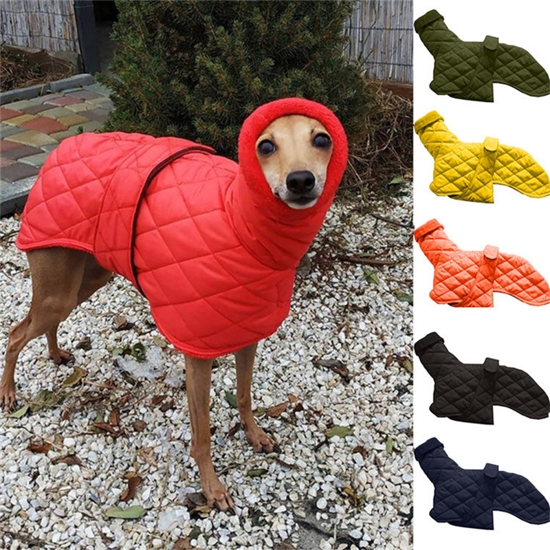 

Dog Winter Warm Cotton Pure Color Belt Adjustable Fashion Trend Cute High Collar Pet Clothing 201126