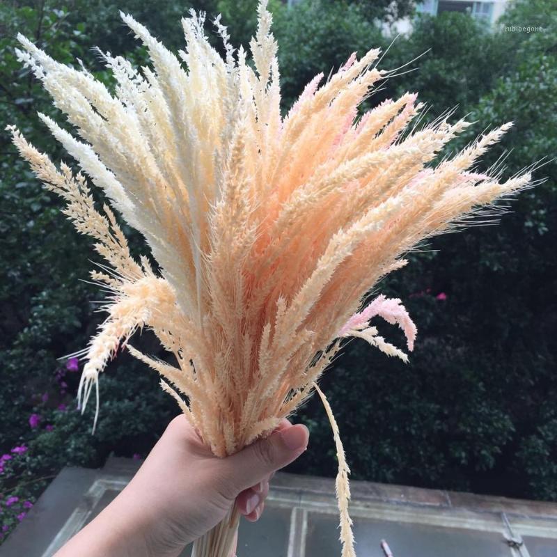 

35-40g/40cm,Natural Preserved Flowers,Real Eternal plant For Wedding Party display arrange flowers Home Decoration accessories1, Beige