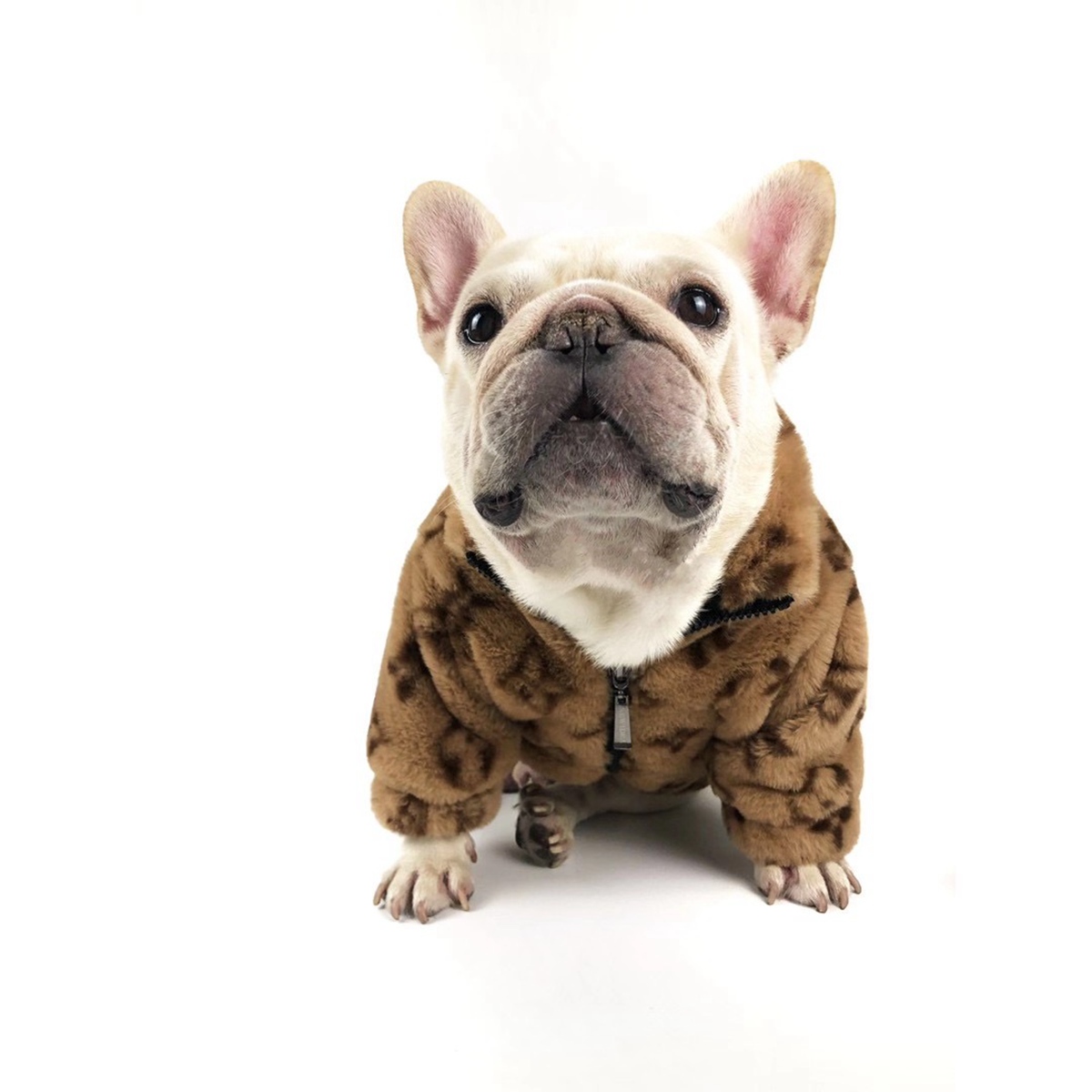 

Dog Coats Puppy Classic Plaid Shirts Dog Casual Coats Teddy Puppy Jackets Cat Casual Outwears Fashion Pet Clothes YHC-1, As pic
