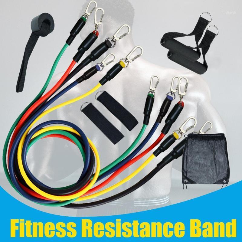 

11pcs Resistance Bands Set for Physical Therapy, Training, Home Workouts with Door Anchor, Handles, Ankle Straps and Carry Bag1