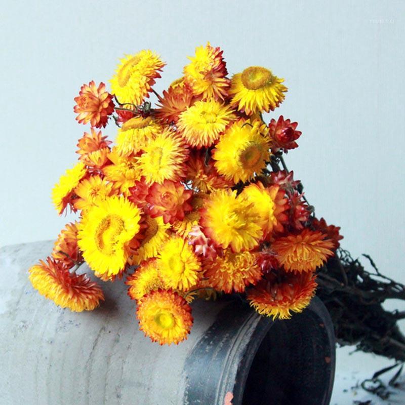 

Multicolor Daisy Dried Flowers Nordic Style Naturally Dried Bouquets DIY Crafts Wedding Supplies Home Decoration1, Orange