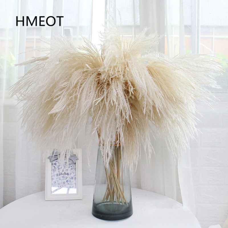 

Pampas Grass Home Decor Reed Whisk Dried Flower Daisy Wedding Arrangement Christmas Plants Material Artificial Flowers 25pcs/lot 201127