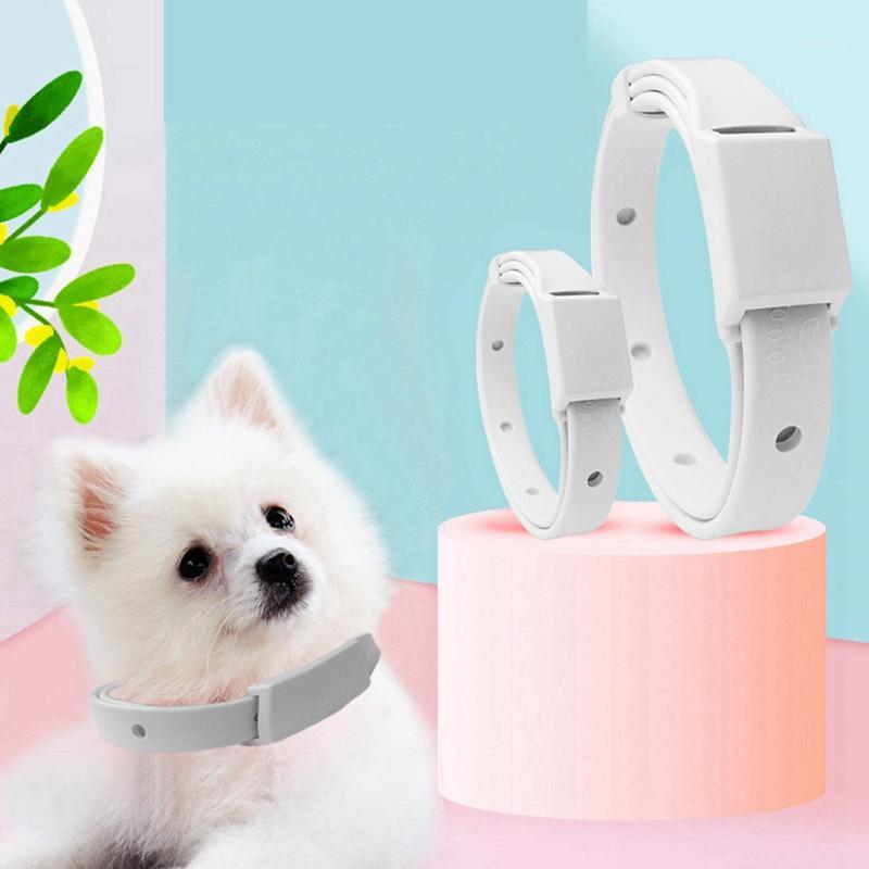 

Anti Flea Ticks Mosquitoes Pet Dog Cat Collar Outdoor Adjustable Pet Collar Cat Waterproof Accessories Long-term Protection1