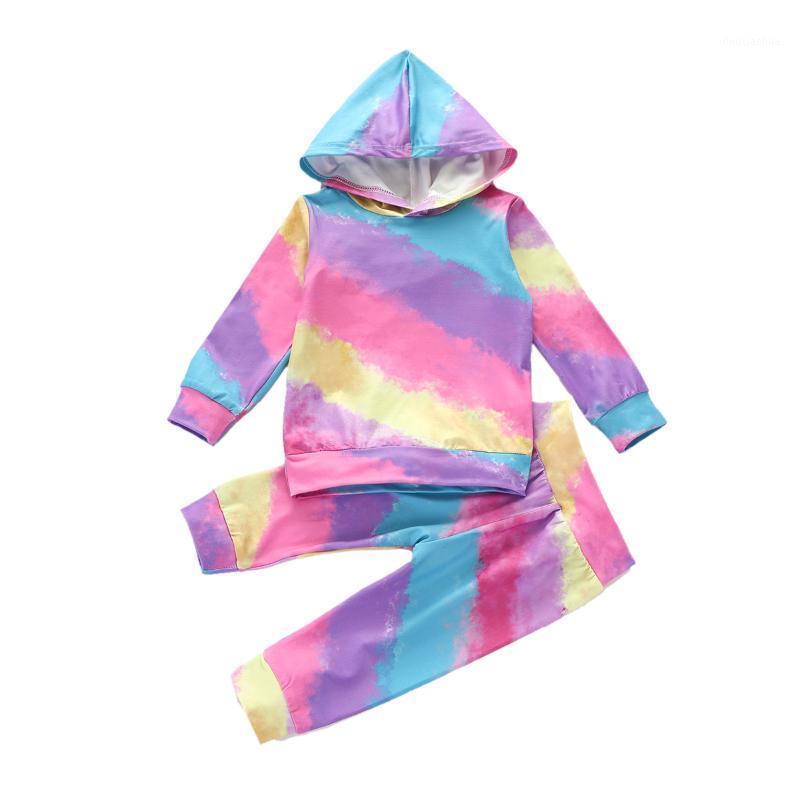 

2Pcs Toddler Baby Girls Boys Outfits Set Long Sleeve Hoodie Tops Sweatshirt+Pants Infant Kids Baby Clothing Autumn Clothes1, Purple