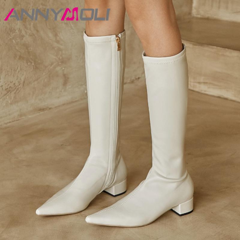 

ANNYMOLI Knee High Boots Women Shoes Pointed Toe Chunky Heels Ladies Boots Zipper Mid Heel Long Autumn Winter Black Beige, Black synthetic lin