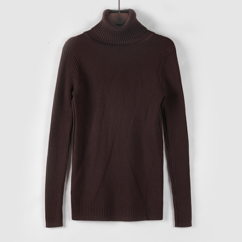 

2021 New High Quality Autumn Winter Thick Pullovers Women Long Sleeve Casual Warm Basic Turtleneck Sweater Female Knit Jumpers Ykul, Brown