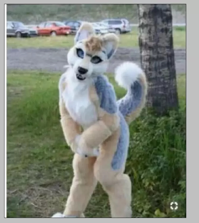 

Furry Husky Dog BENT LEGS Fursuit Mascot Costume Faux Fur Suit Adult Size Outdoor Decorations, As pic