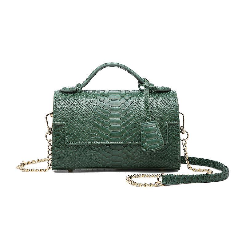 

2021 Spring and Autumn new female bag fashion wild snake pattern chain shoulder bag trend handbag womens handbags and purses, Black